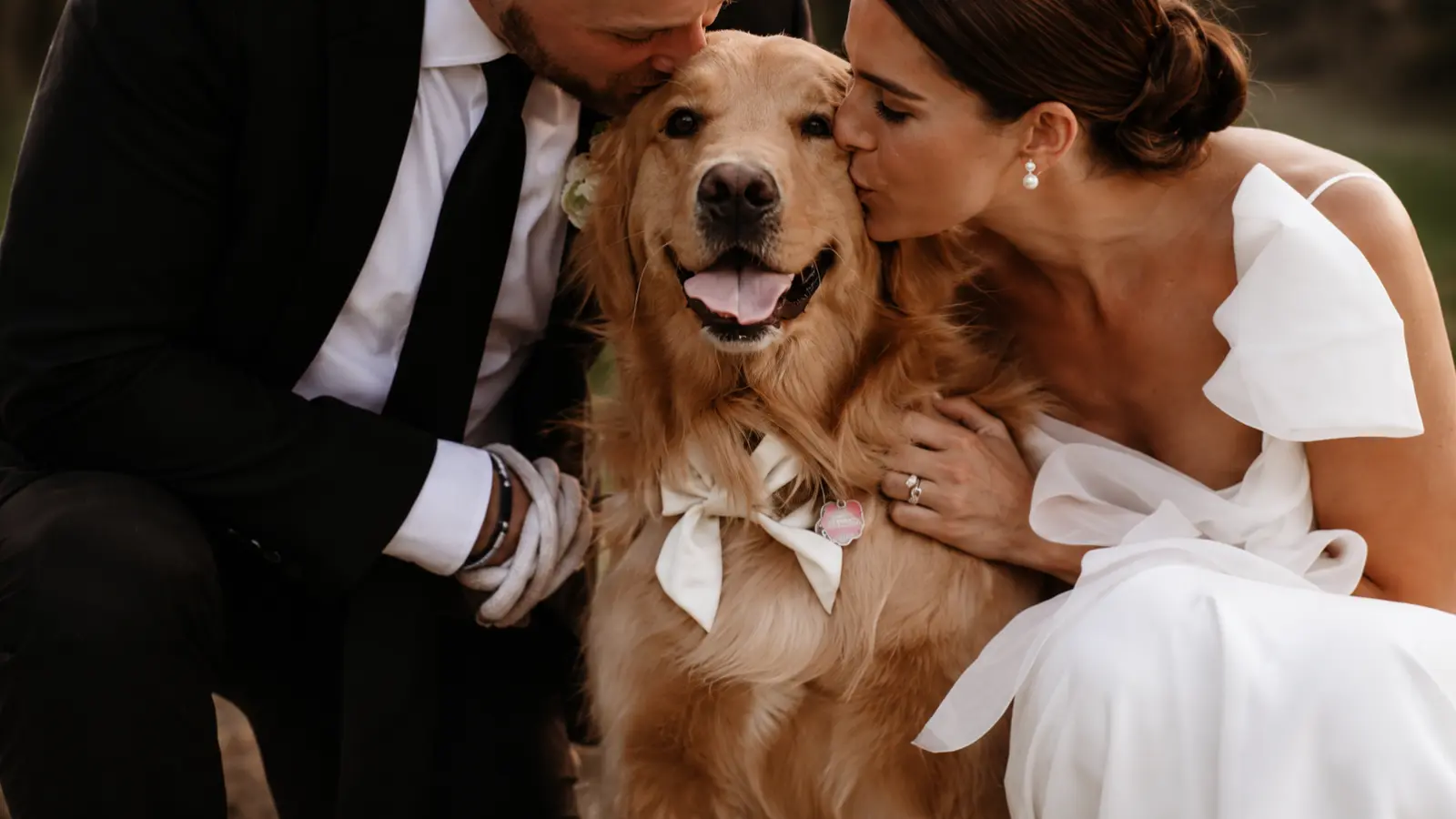Bride and groom kissing their golden retriever during wedding portraits