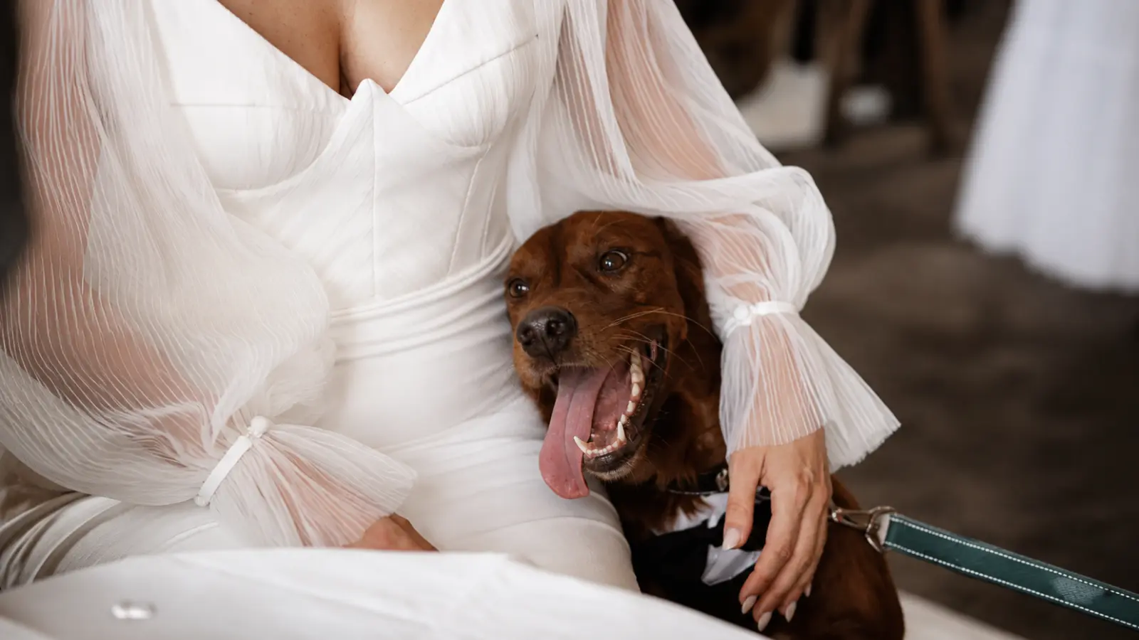 Bride in a wedding dress cuddling her smiling dog during the celebration