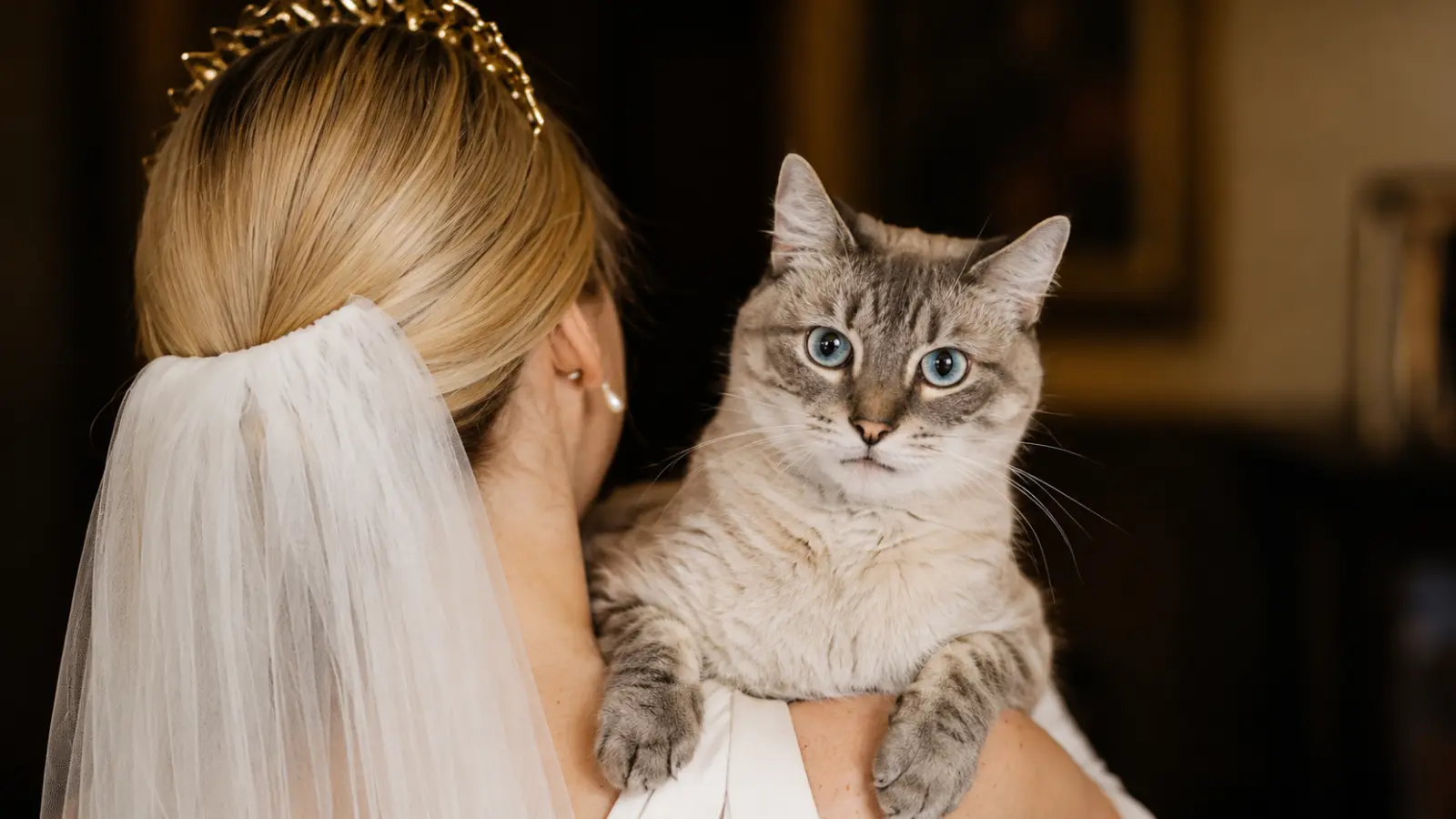 Bride wearing a veil holding her blue-eyed cat during a wedding portrait
