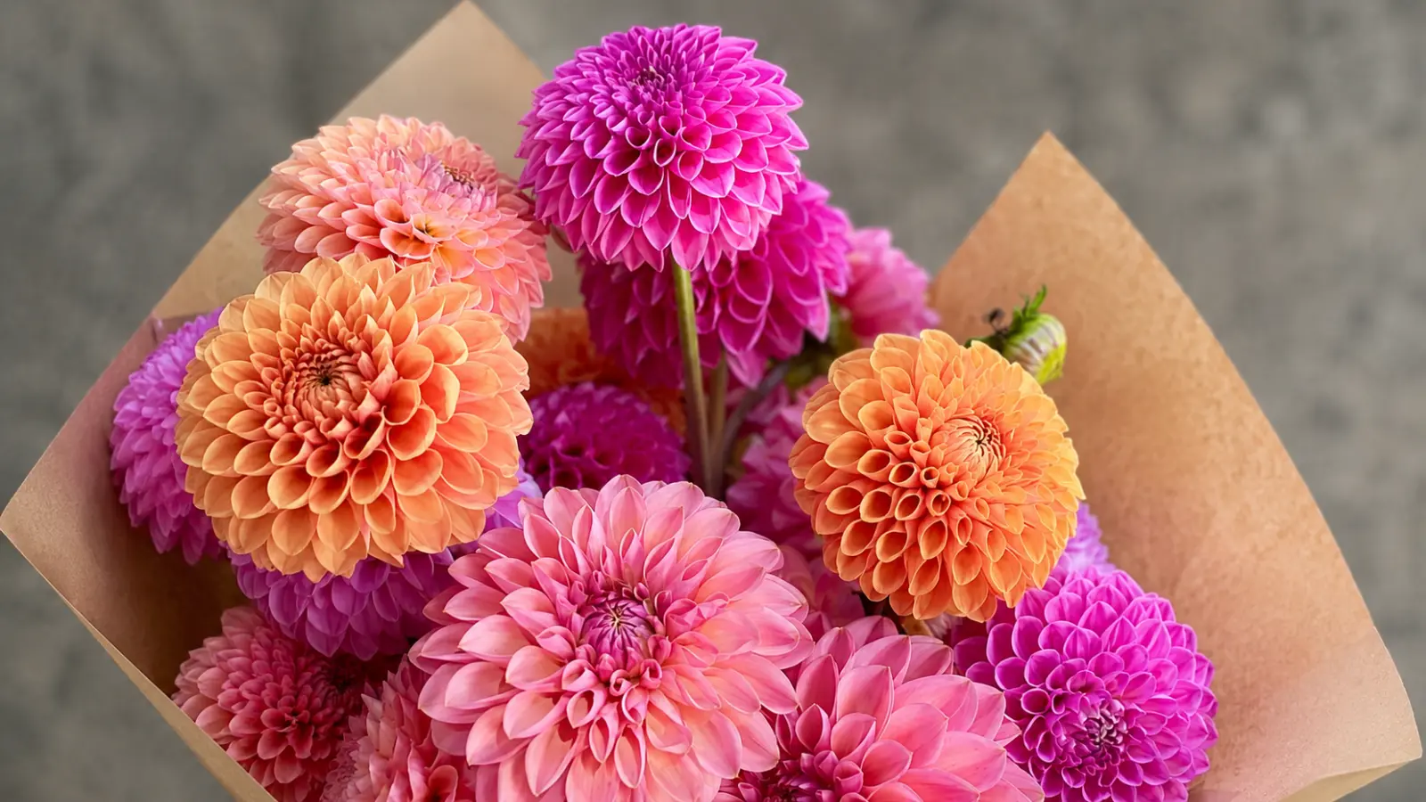 Close-up bouquet featuring dahlias in peach, coral, pink, and vibrant magenta color varieties Dahlia Wedding Bouquets