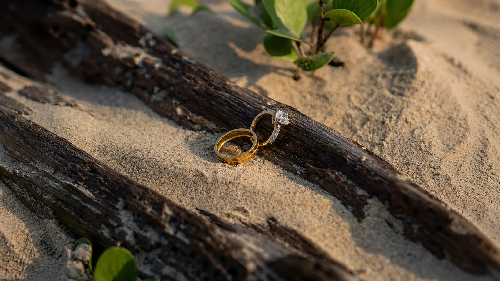 Wedding rings resting in beach sand during a search for jewelry lost while outdoors Lost Wedding Ring