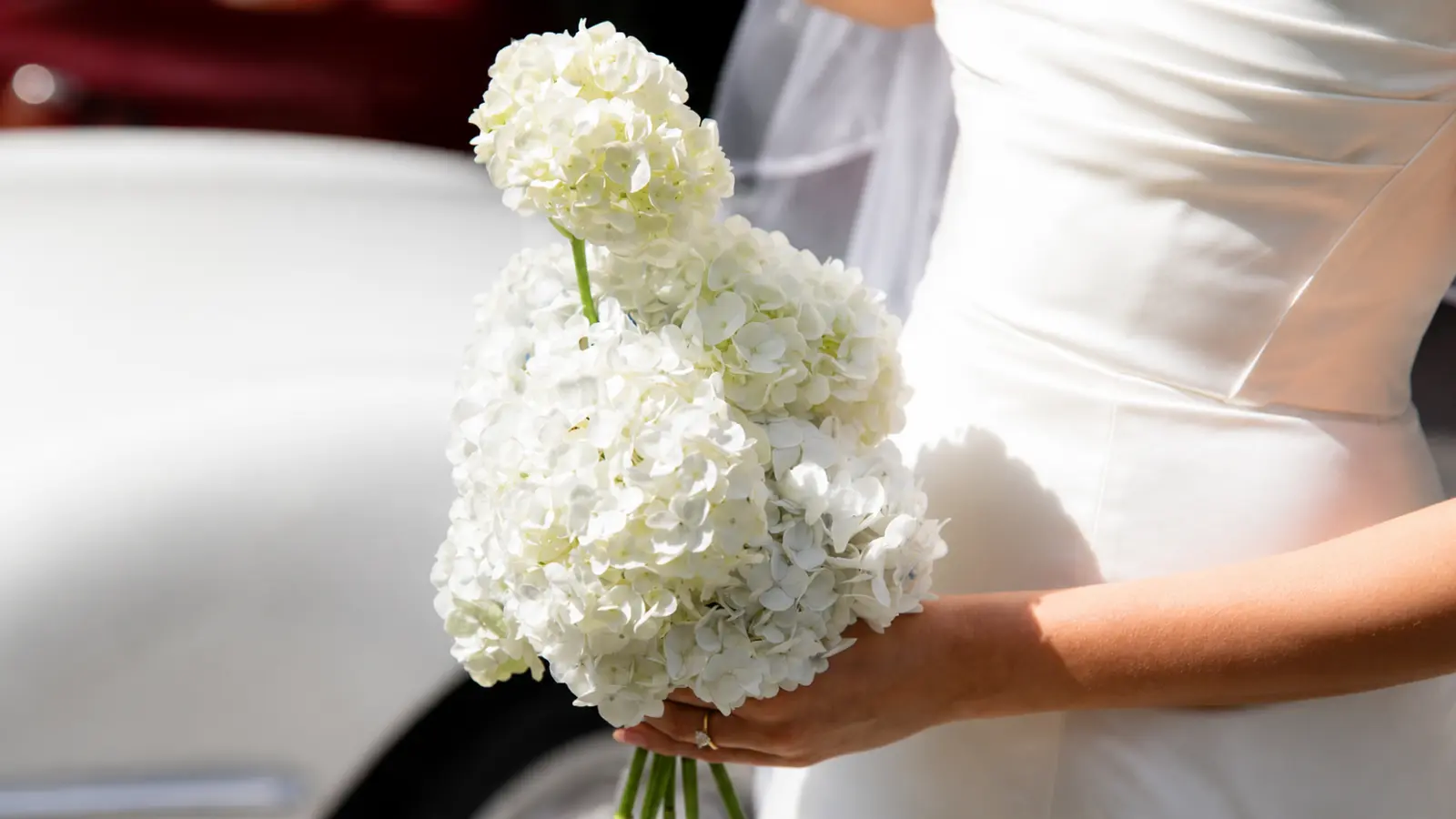 Bride holding a minimalist white hydrangea wedding bouquet with oversized hydrangea blooms
