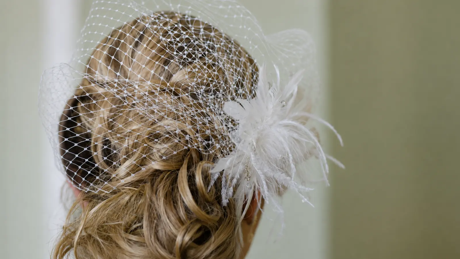 Birdcage Wedding Veil: Everything You Need to Know