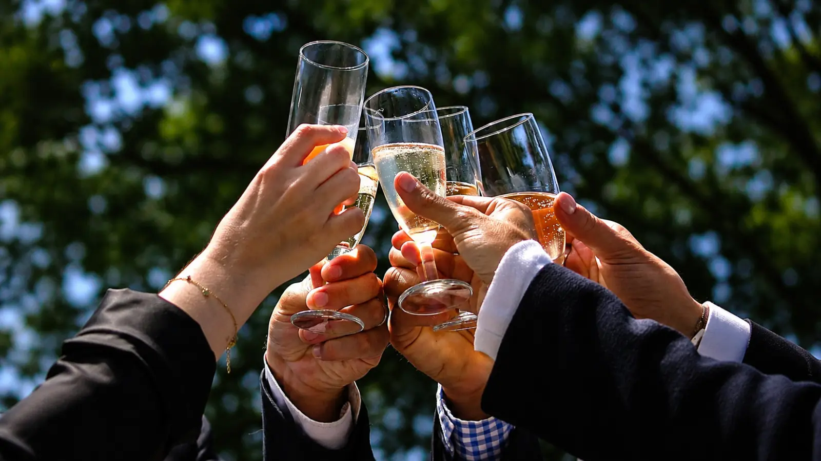 Wedding guests raise champagne glasses together outdoors during a destination wedding celebration How to Plan a Destination Wedding: Complete Planning Guide