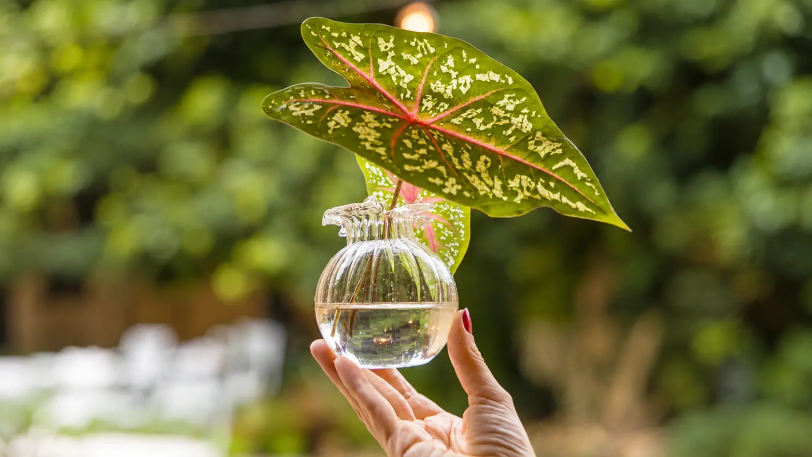 Clear crystal-style vase with decorative leaves as a 15th wedding anniversary gift idea